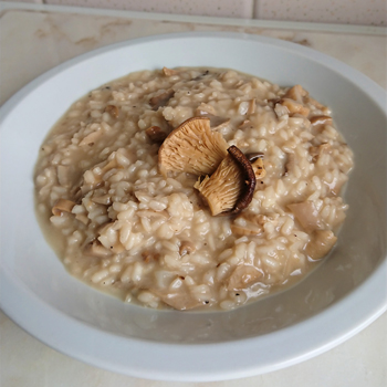 Risotto de shimeji preto desidratado - Risotto de Shimeji preto desidratado